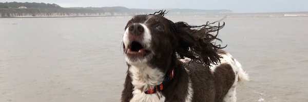 DatPoppy1 Profile Banner