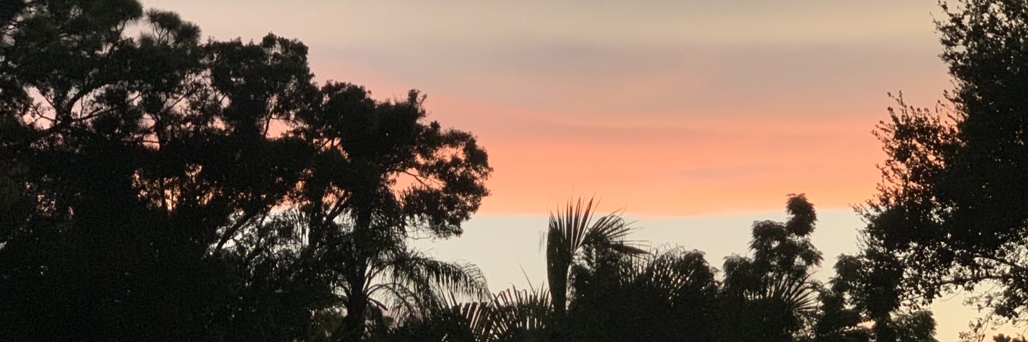 swingtimeX2's profile banner image