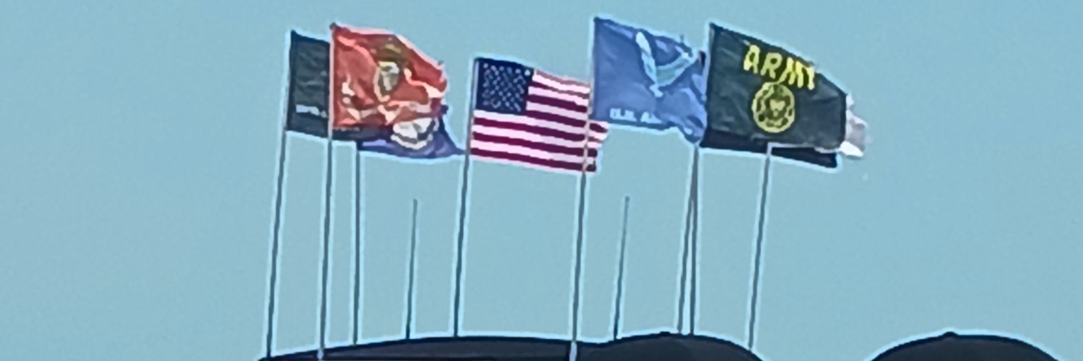 bobginger3's profile banner image