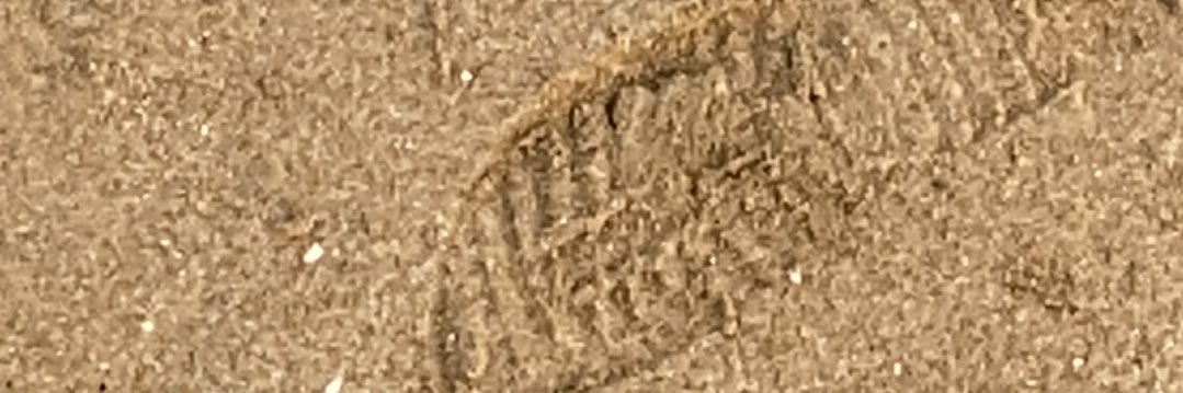 bielskint's profile banner image