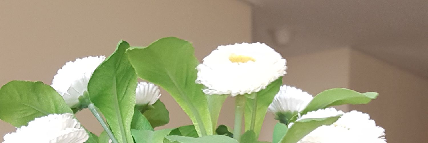 DRMkhalaf's profile banner image