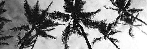 sunvmitchel's profile banner image