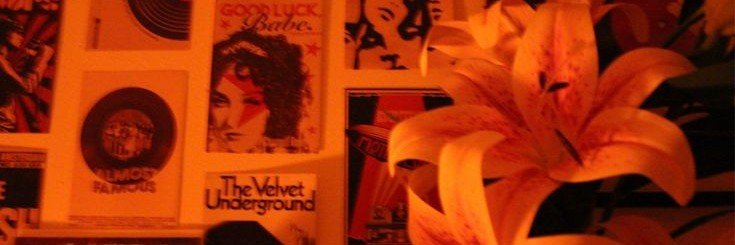 v1vernaa's profile banner image