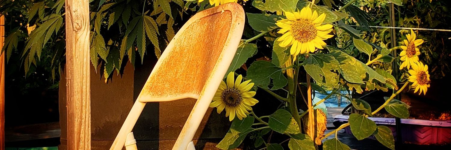 SoulInTraining's profile banner image