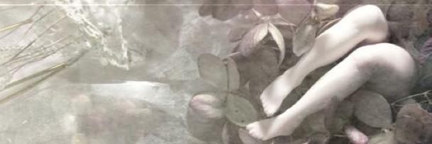 RNdoll's profile banner image