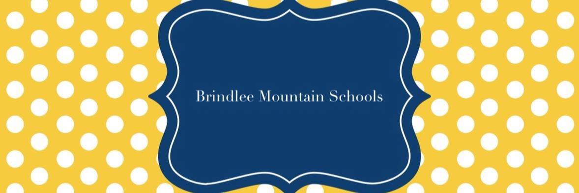 brindleelions's profile banner image