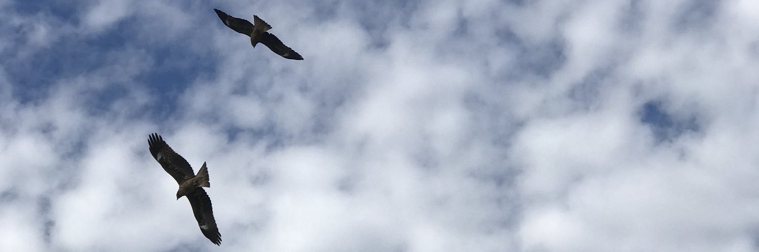 srgsk48's profile banner image