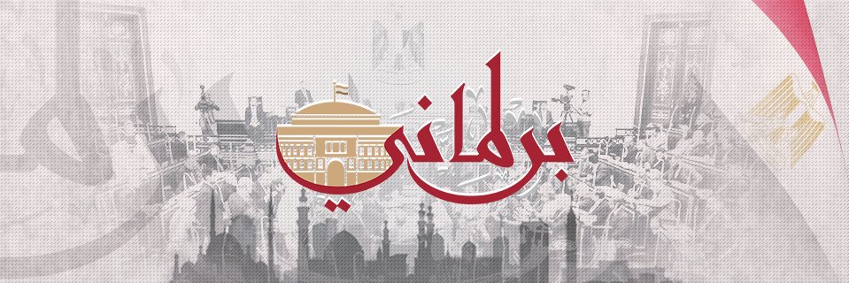 parlmany's profile banner image