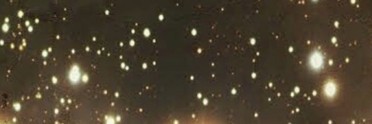harucaa's profile banner image
