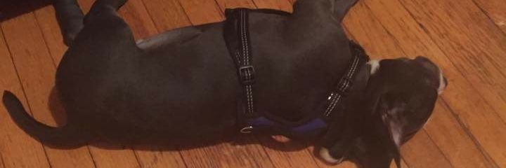 iamsleez's profile banner image