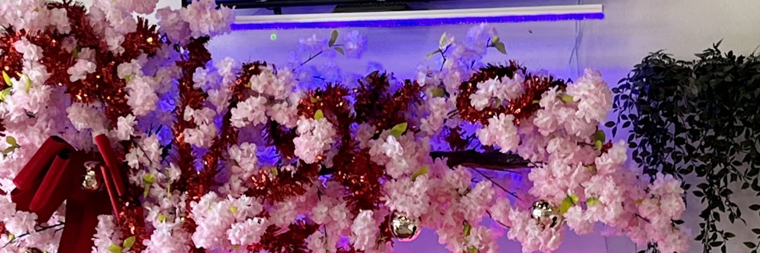jaejops's profile banner image