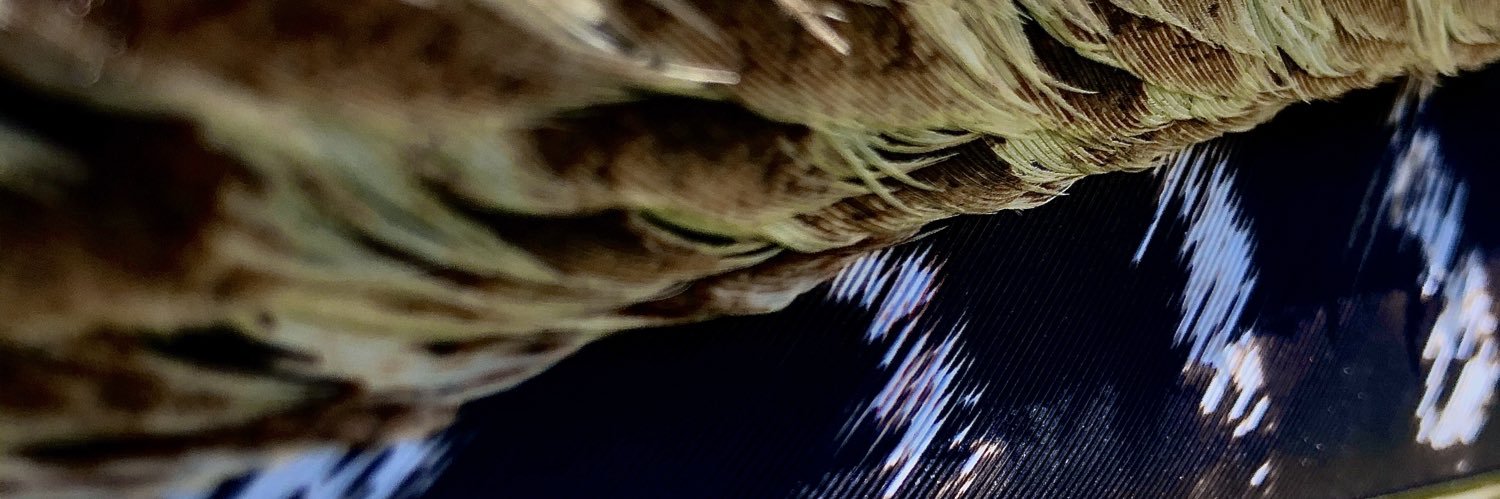 aubjwal's profile banner image