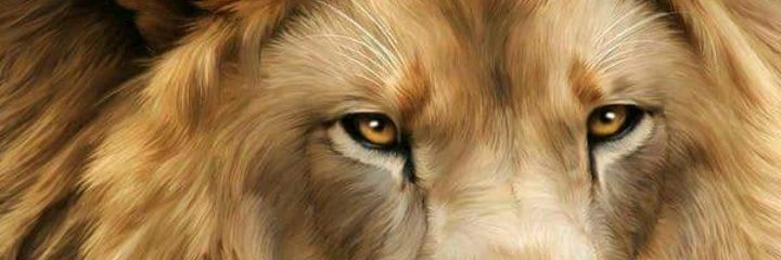 ViaMawudem's profile banner image
