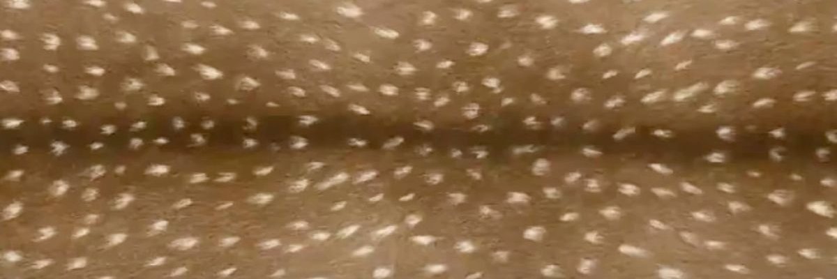 CANDYOPPP's profile banner image