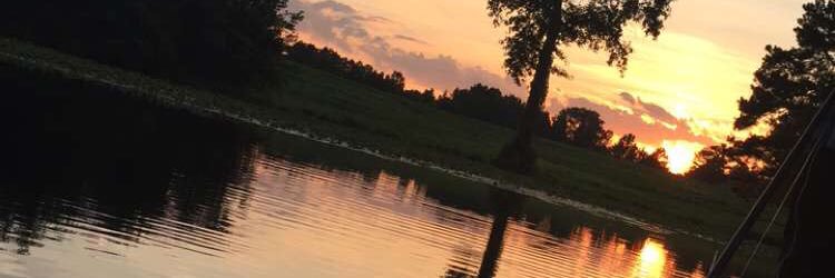 blake__williams's profile banner image