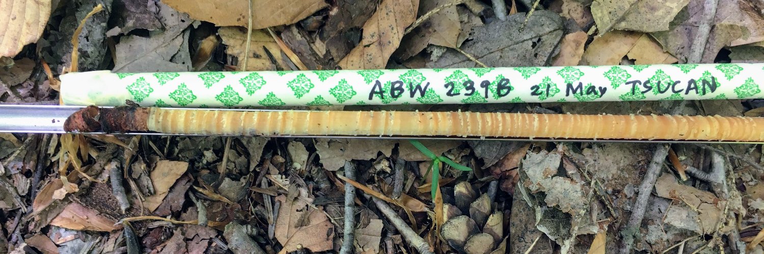 Kathryn Flinn banner