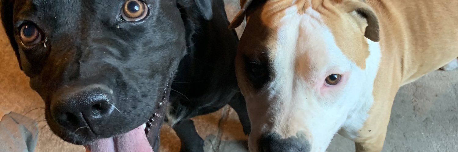 mauranechcls's profile banner image