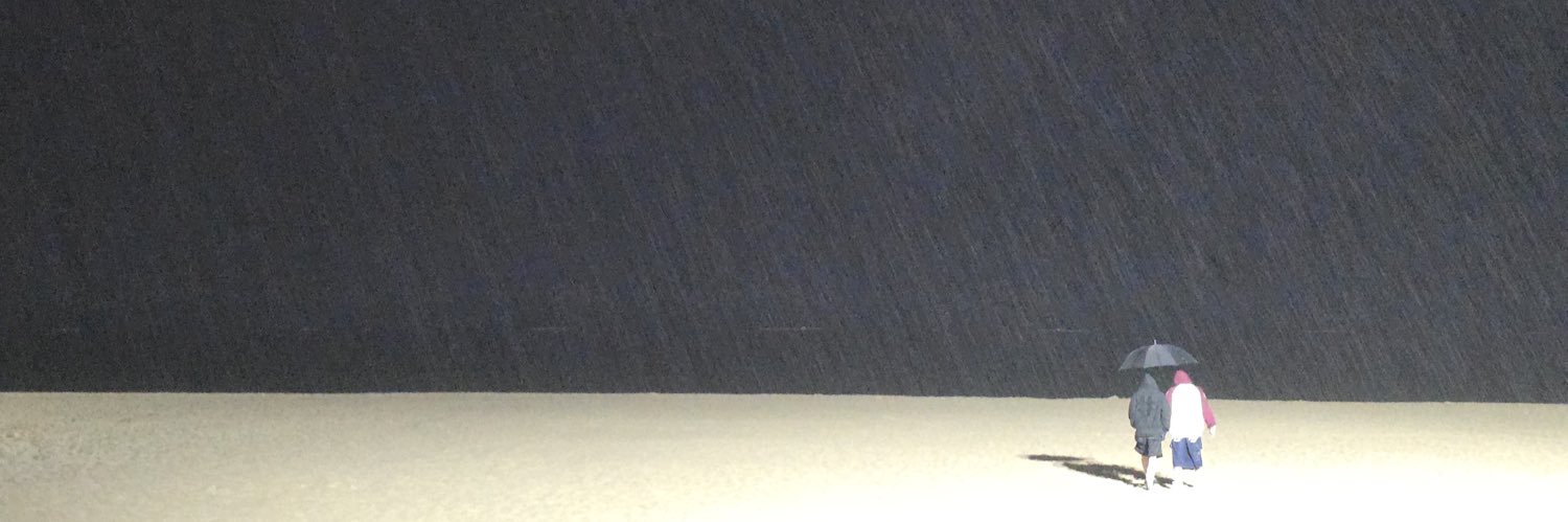 Poly-pie banner