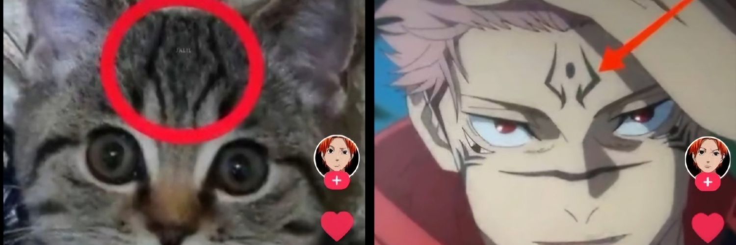 1h8zz's profile banner image