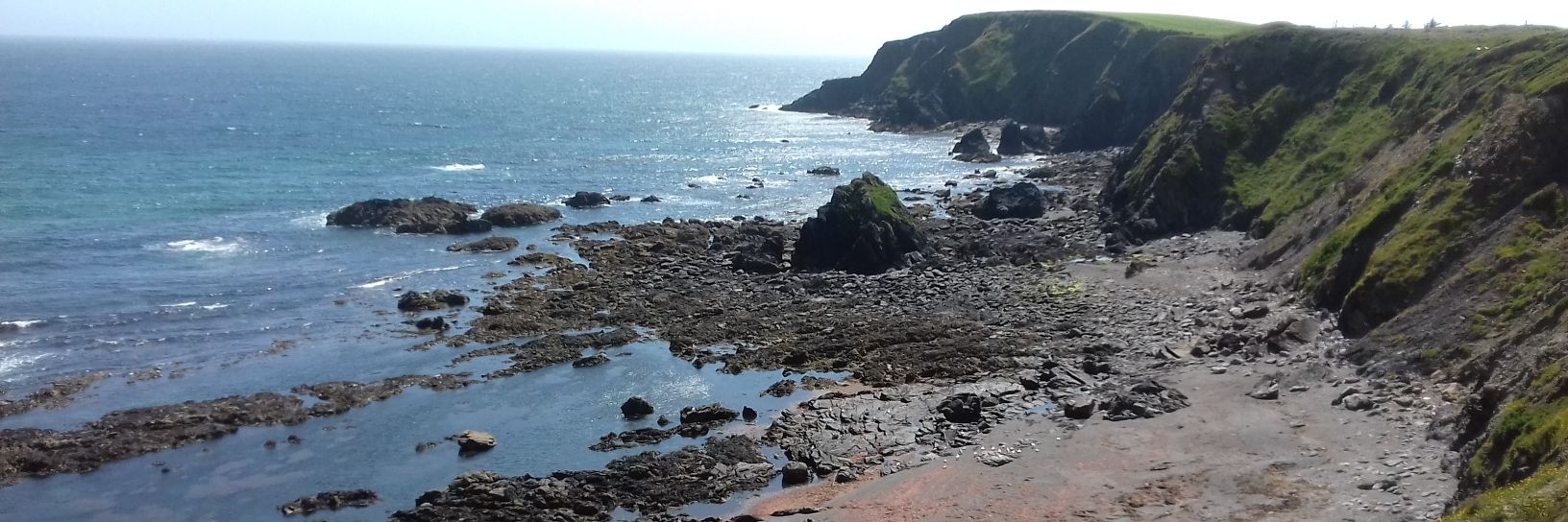 Fiona Drought banner