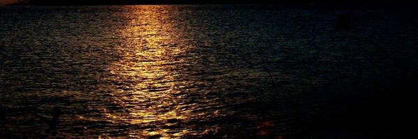 etiketriye's profile banner image