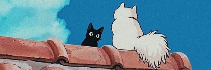 _amxterasu's profile banner image