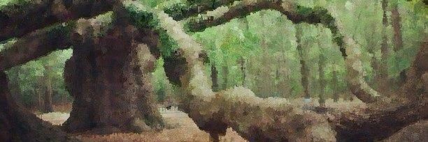 MonkeyMarvelous's profile banner image