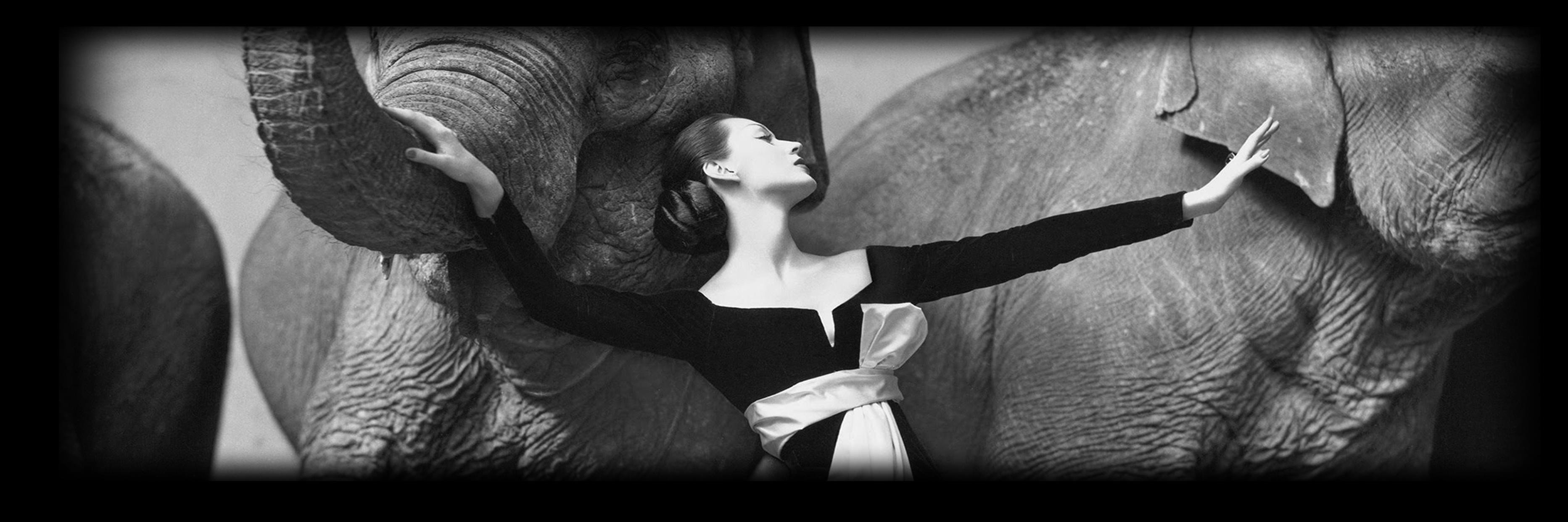 mkvisky's profile banner image