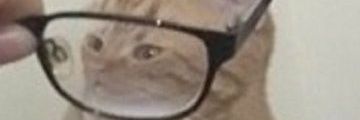 Alexg9779's profile banner image