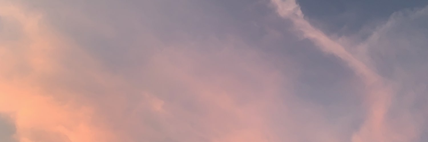 anacmoro's profile banner image
