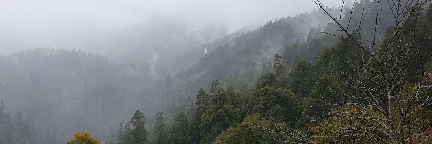 sedatcanyalcin's profile banner image