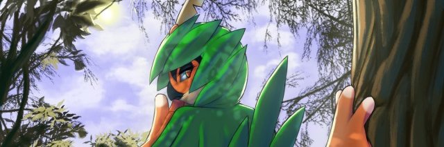 Verci banner