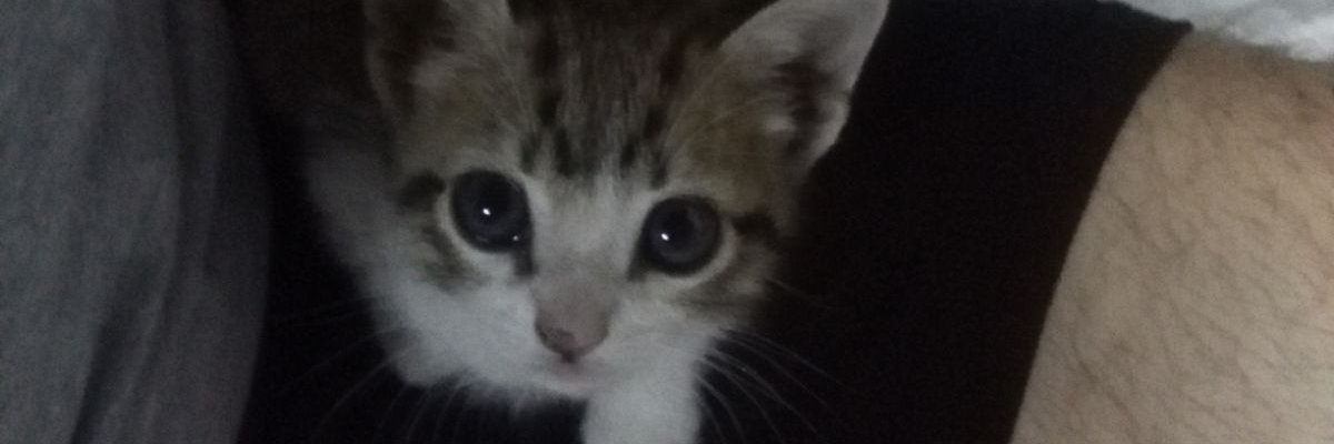 _MarZeta's profile banner image