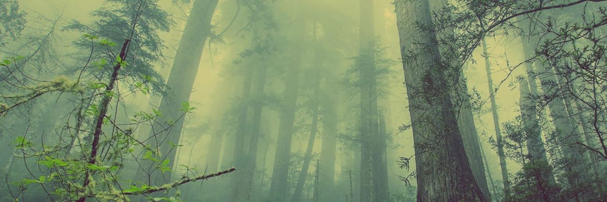RezzyOW's profile banner image