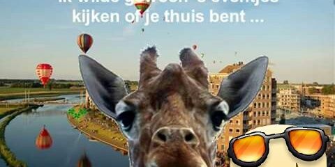 riekien's profile banner image
