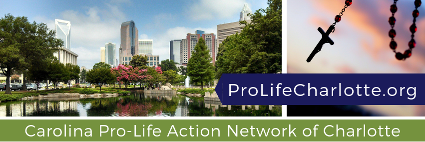 ProLifeCLT's profile banner image