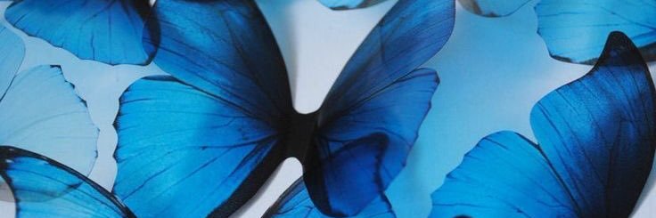 mymoraes_'s profile banner image