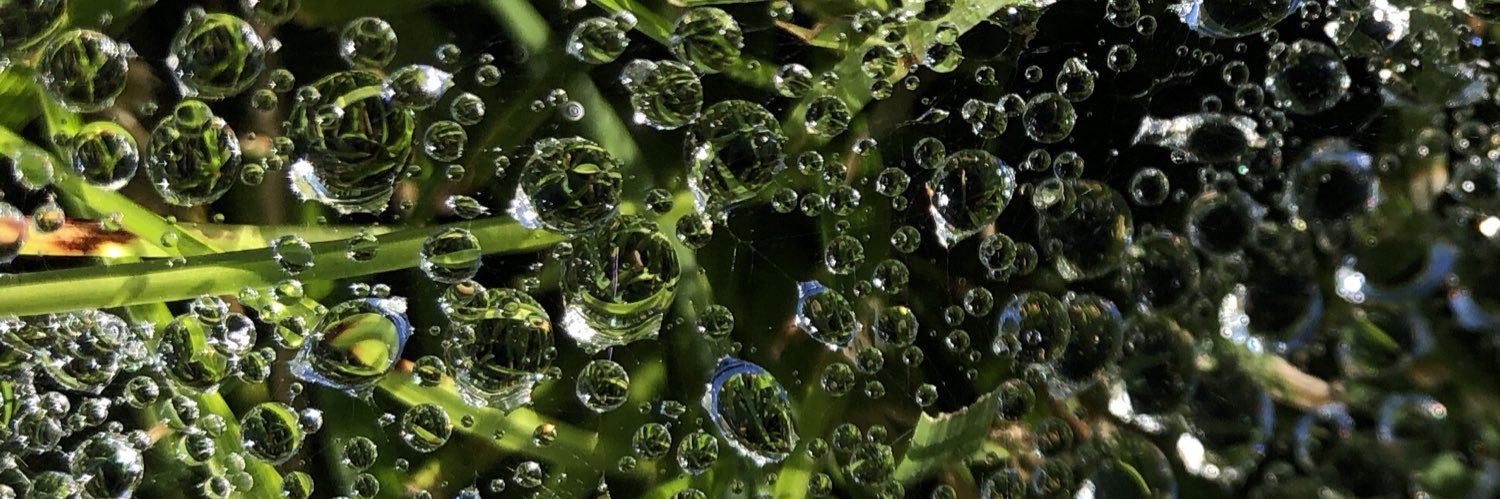 Kitch’N Sync banner