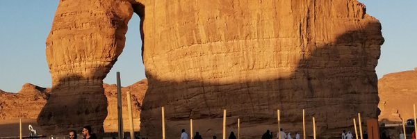 niqujade Profile Banner