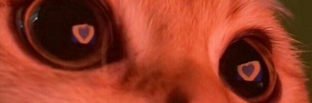 isauratorrest's profile banner image