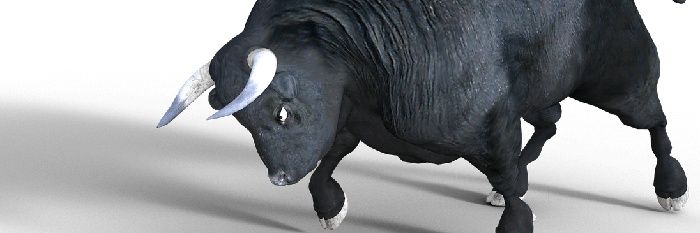 SlPLINTER's profile banner image