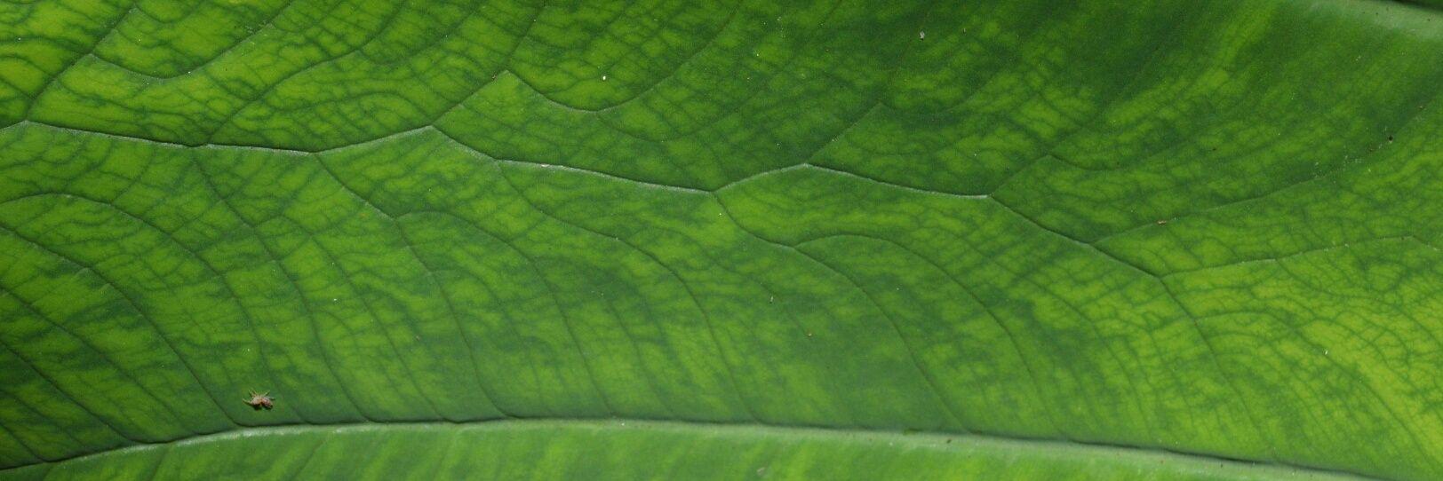 NoRowEdu's profile banner image