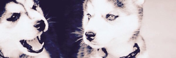 kitkat02252's profile banner image
