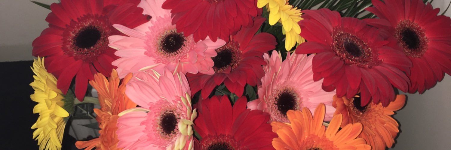 lillybloomin's profile banner image
