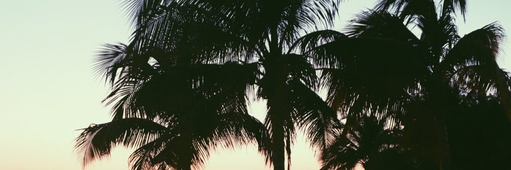 vibewithdeex's profile banner image