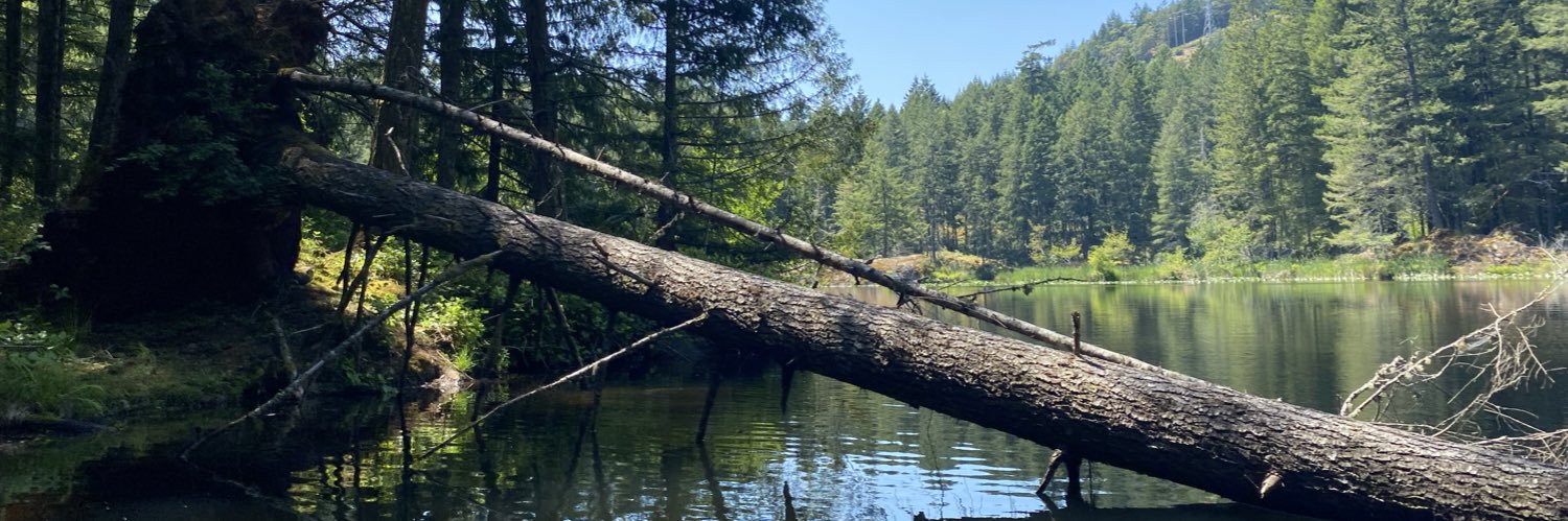 Solstice Sis🌻💛💙 banner