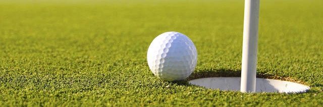 LeitzellGolf's profile banner image