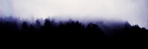 deeerlou's profile banner image