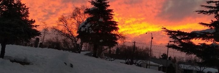 _Toledano_'s profile banner image
