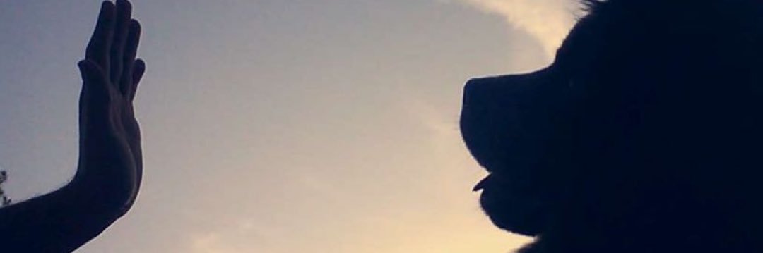 MohammadBoosh's profile banner image